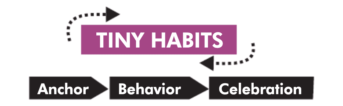 Summary Of Tiny Habits By BJ Fogg | Summaries.Com